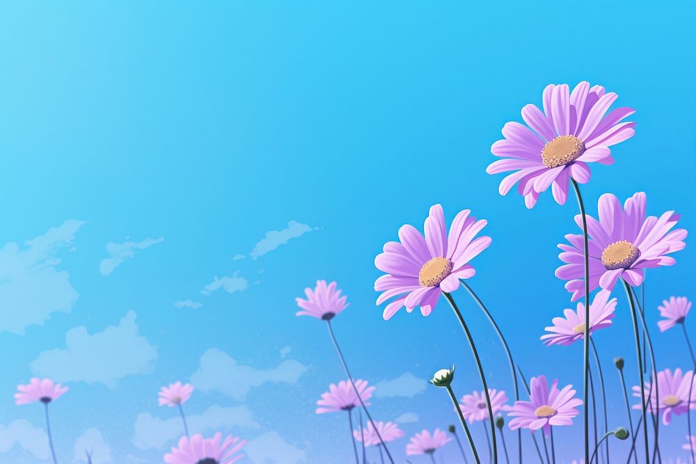 A summer of Daisy feild wallpaper flower daisy outdoors. AI generated Image by rawpixel.