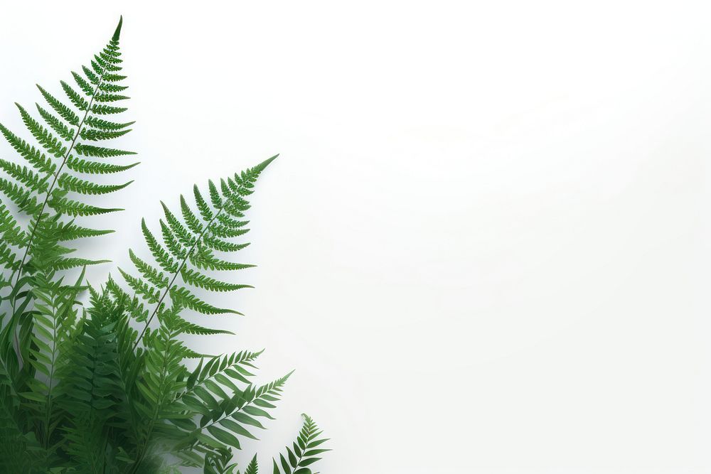 Fern plant leaf tranquility. AI generated Image by rawpixel.