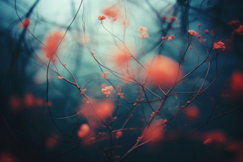Nature backgrounds outdoors flower. AI generated Image by rawpixel.