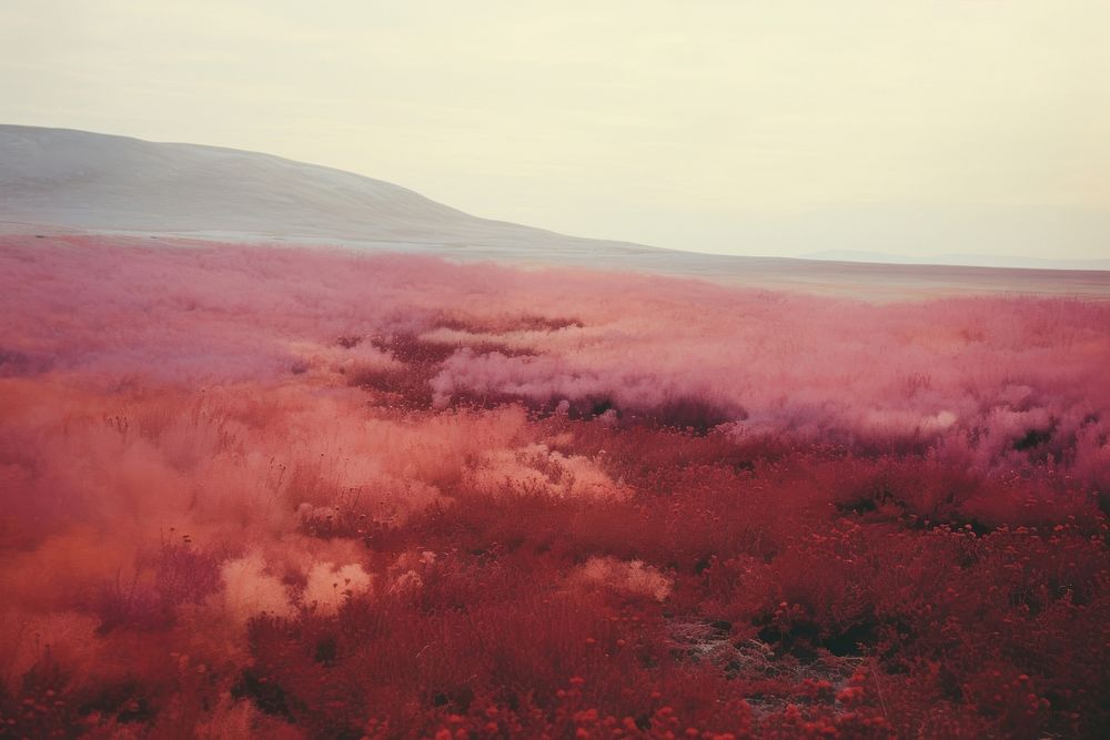A minimal-large a dry land landscape outdoors. AI generated Image by rawpixel.