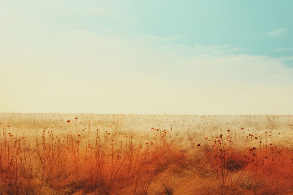 A minimal-large a dry landscape grass grassland. AI generated Image by rawpixel.