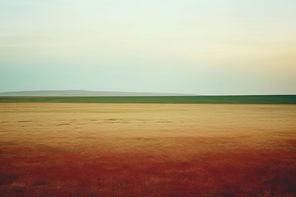 A minimal-large grassland landscape outdoors horizon. AI generated Image by rawpixel.