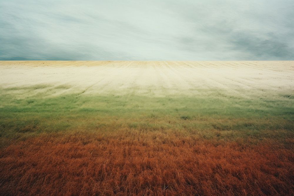A minimal-large grass feild landscape outdoors horizon. AI generated Image by rawpixel.