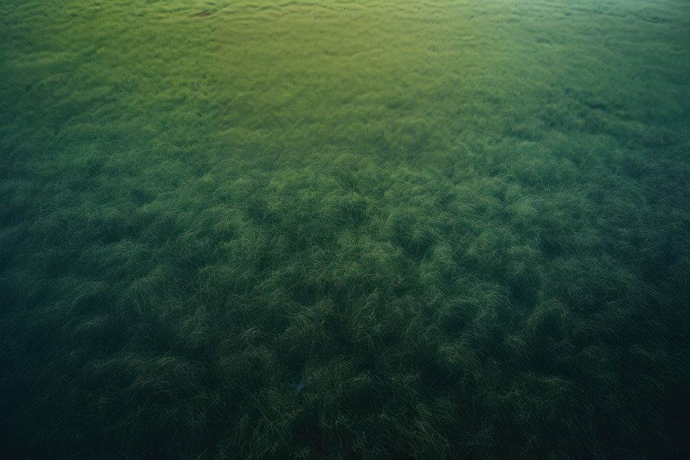 A minimal-large grass feild land landscape outdoors. AI generated Image by rawpixel.