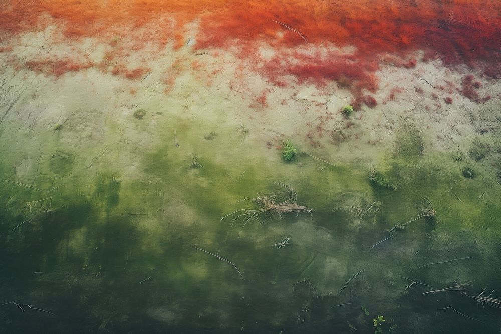 A minimal-large grass feild red backgrounds reflection. AI generated Image by rawpixel.