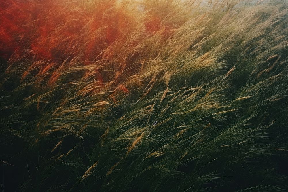 A minimal-large grass feild landscape outdoors nature. AI generated Image by rawpixel.