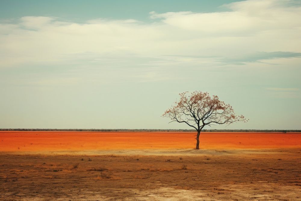 A minimal-large savanna landscape outdoors horizon. AI generated Image by rawpixel.