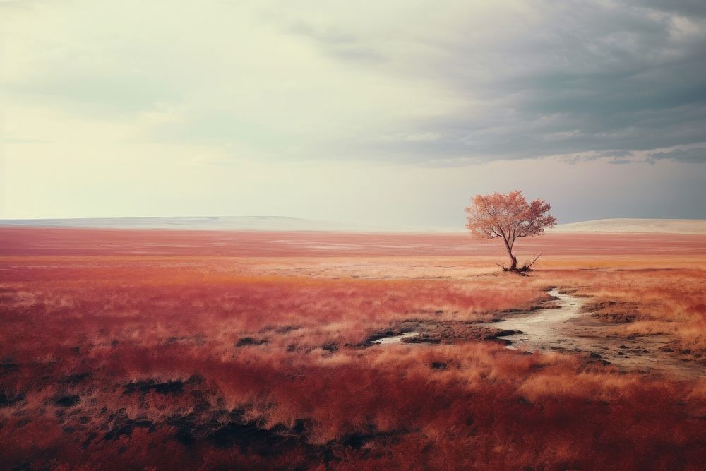 A minimal-large savanna feild landscape outdoors horizon. AI generated Image by rawpixel.