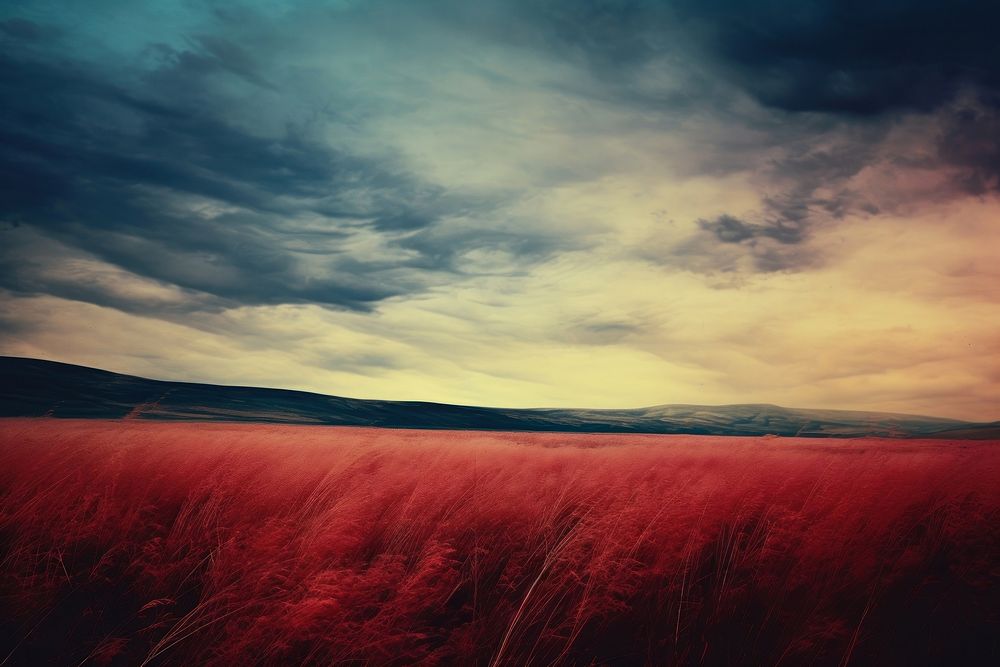 A landfield landscape grassland outdoors. AI generated Image by rawpixel.