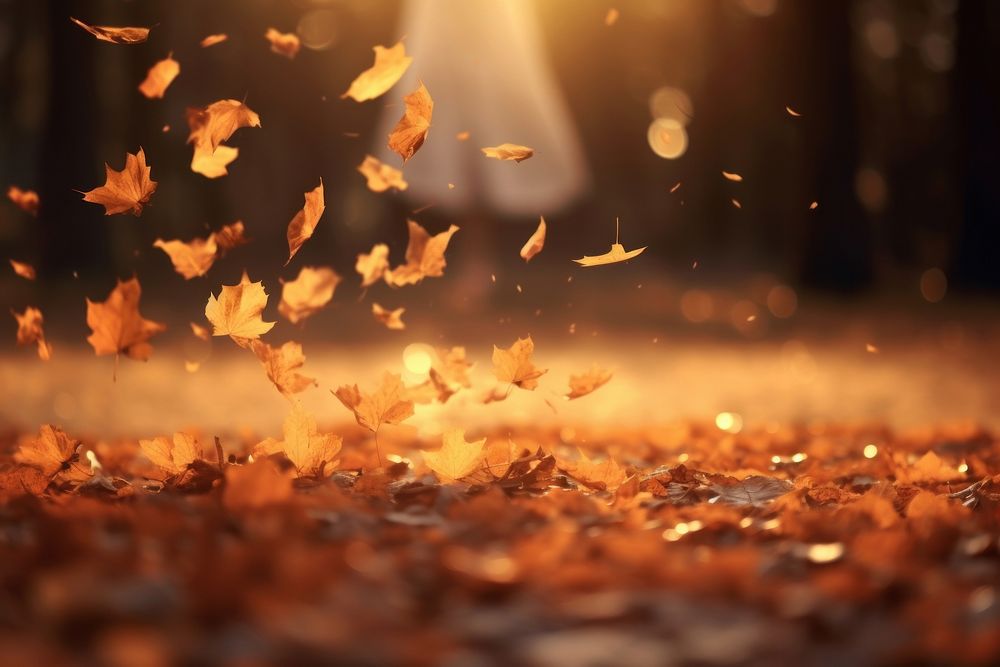 Autumn leaves falling to the ground autumn backgrounds plant. AI generated Image by rawpixel.
