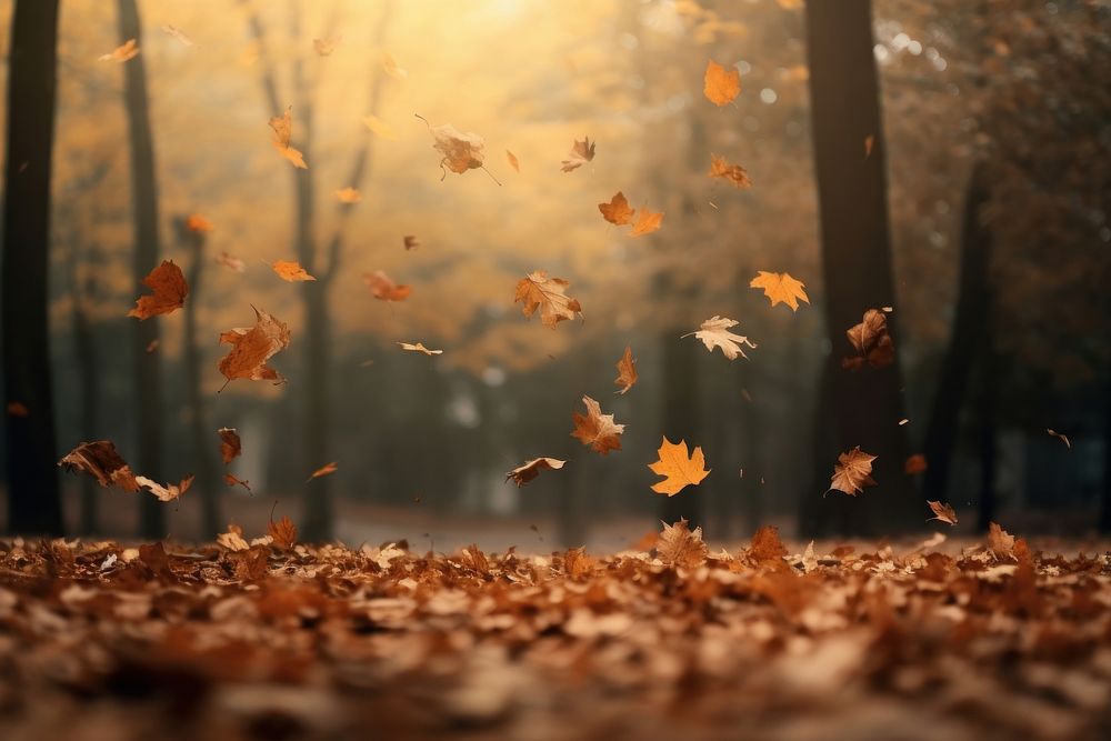 Autumn leaves falling to the ground autumn backgrounds plant. AI generated Image by rawpixel.