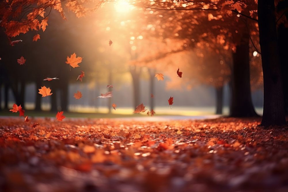 Autumn leaves falling to the ground autumn plant leaf. AI generated Image by rawpixel.