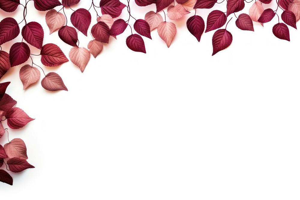 Border of leaves backgrounds petal plant. AI generated Image by rawpixel.