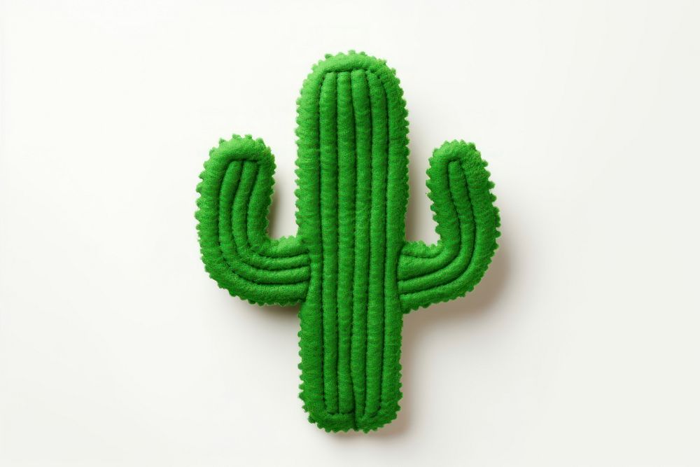 A Cactus cactus plant white background. AI generated Image by rawpixel.
