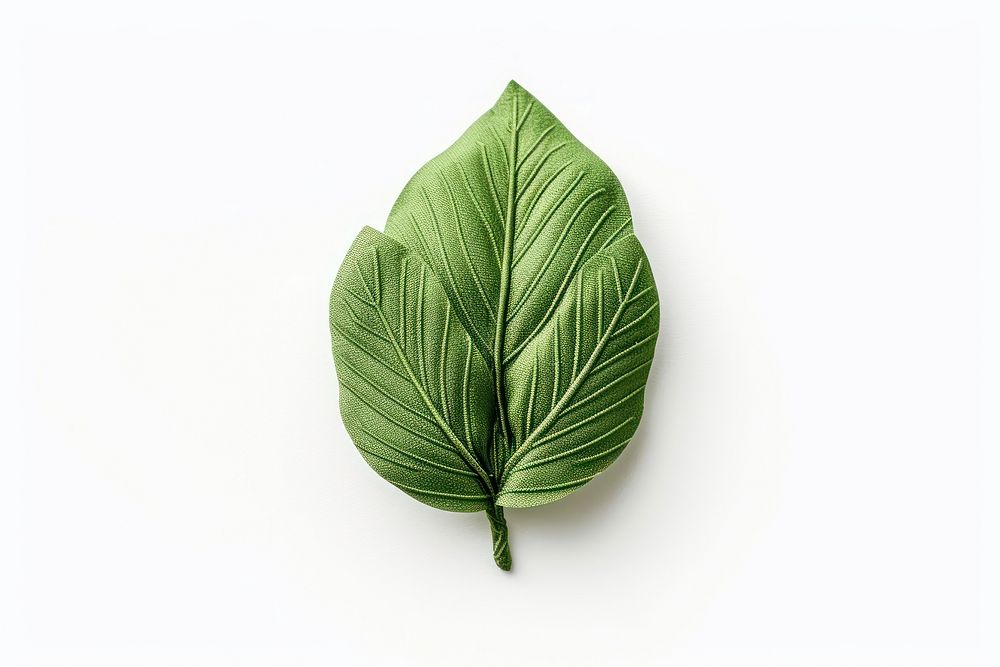 A leaf plant food white background. AI generated Image by rawpixel.