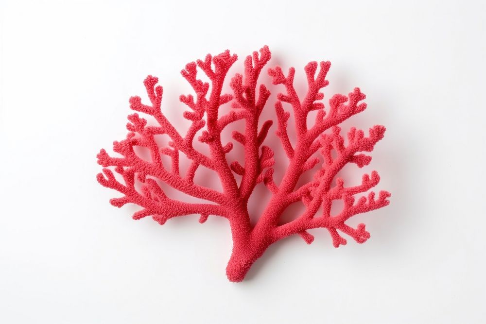 Color ful Branched Finger Coral nature plant sea. AI generated Image by rawpixel.