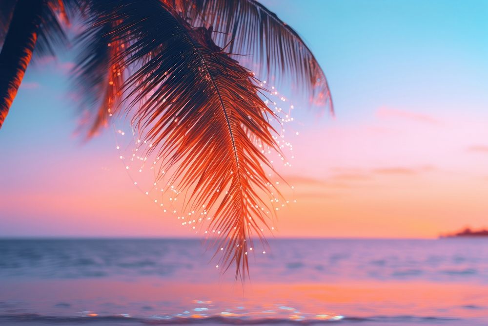 Sunset Pink Beach Images  Free Photos, PNG Stickers, Wallpapers &  Backgrounds - rawpixel