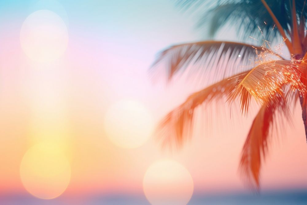 Palm tree on the beach sunlight outdoors nature. AI generated Image by rawpixel.