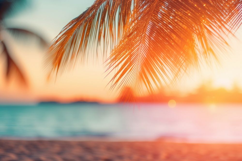 Palm tree on the beach sunlight outdoors nature. AI generated Image by rawpixel.