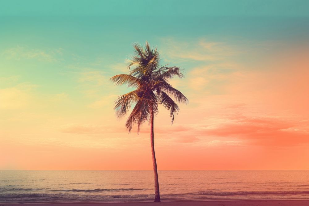 Palm tree on the beach outdoors horizon nature. AI generated Image by rawpixel.