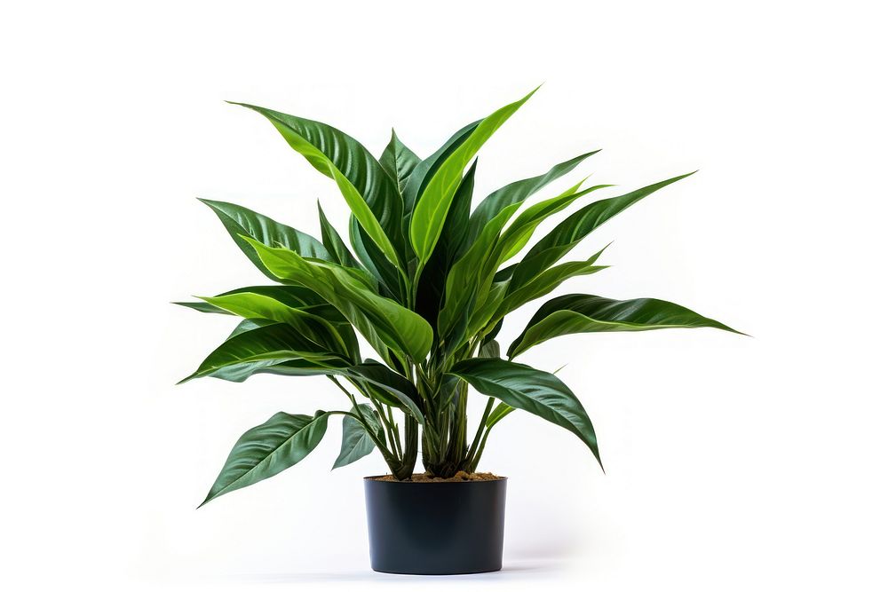 Artificial plant nature flower green. AI generated Image by rawpixel.