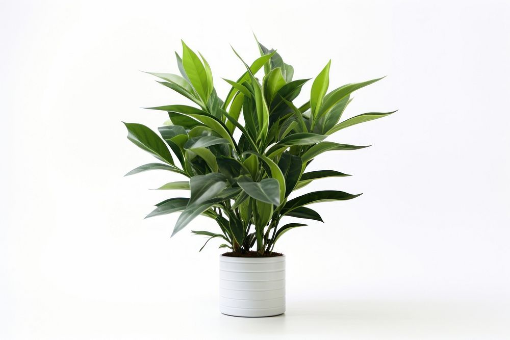 Artificial plant flower nature green. AI generated Image by rawpixel.