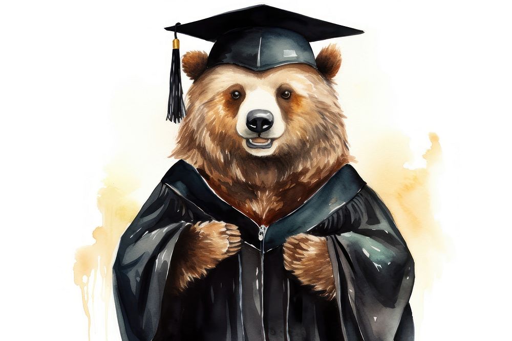 Cute grizzly bear wearing black graduation regalia gown cartoon representation intelligence. 