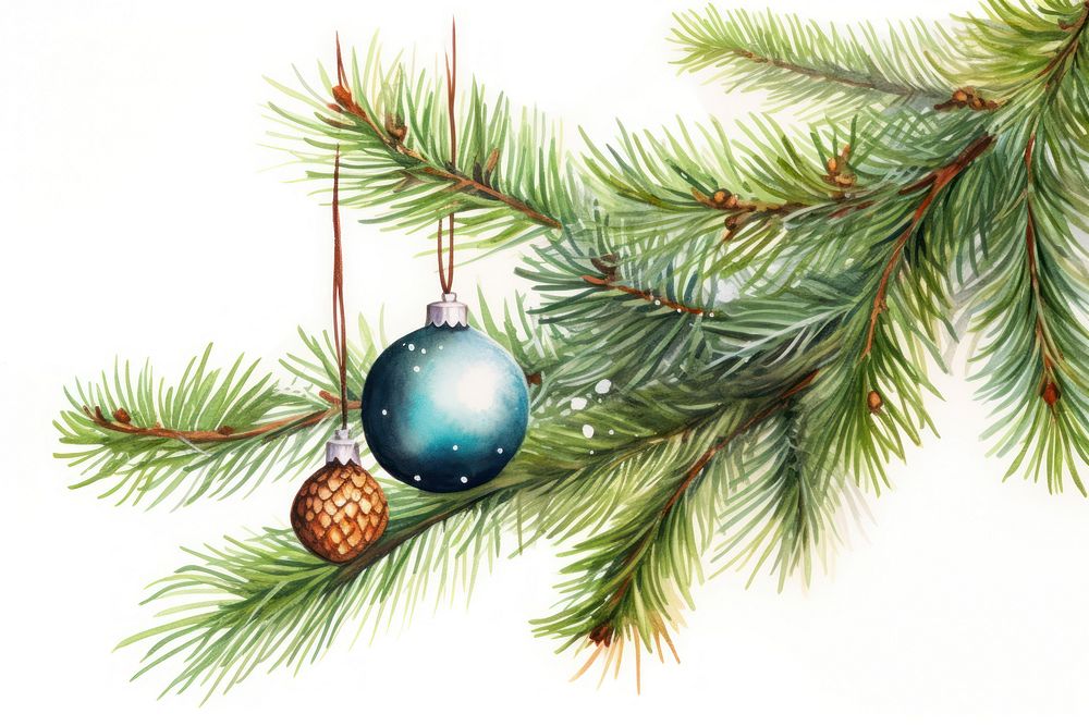 Christmas tree branch and bauble christmas plant pine. AI generated Image by rawpixel.