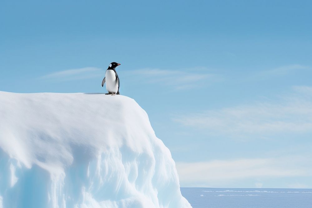 Penguin outdoors iceberg nature. AI generated Image by rawpixel.