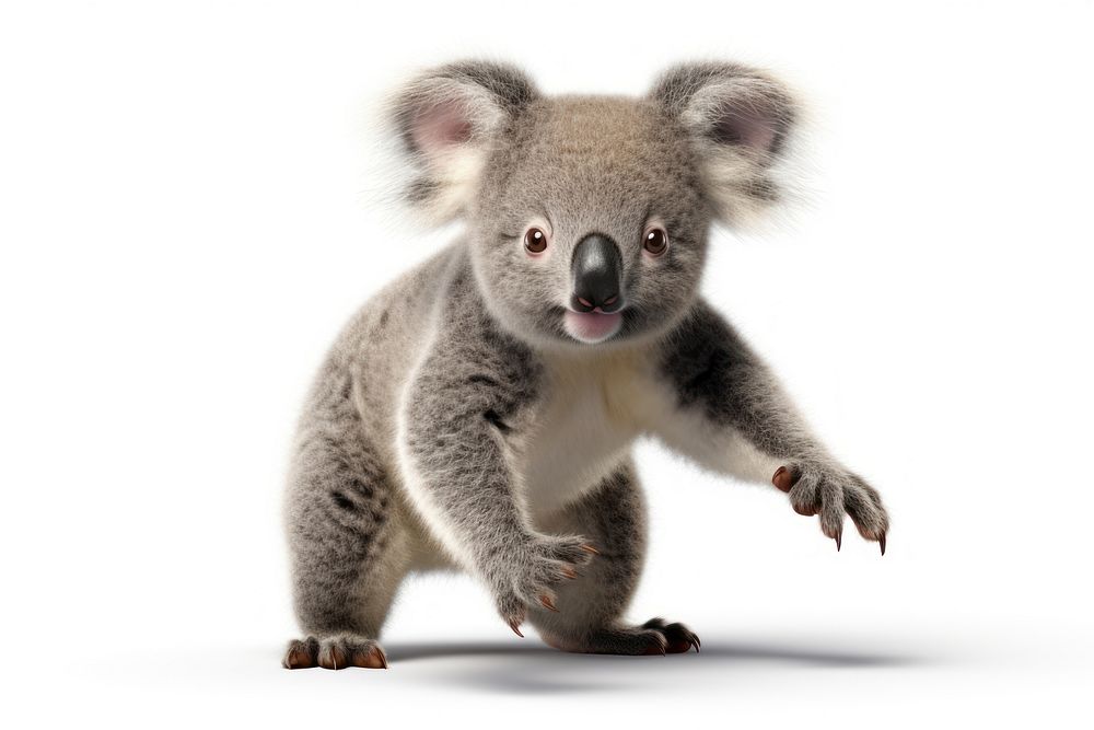 A baby koala wildlife animal mammal. AI generated Image by rawpixel.