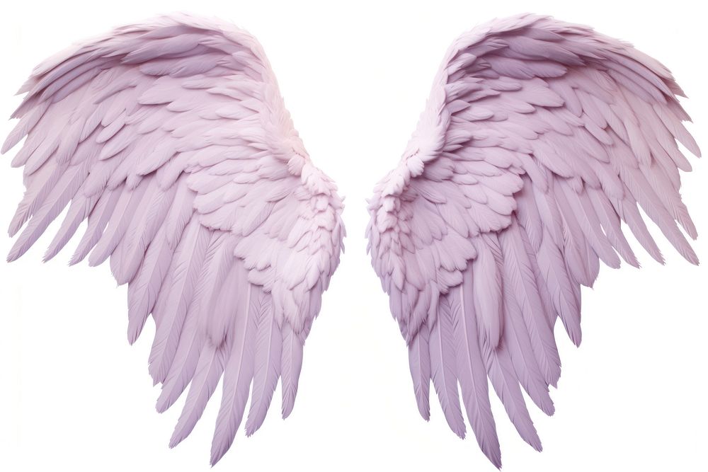 Pastel purple feather angel wings bird white background archangel. AI generated Image by rawpixel.