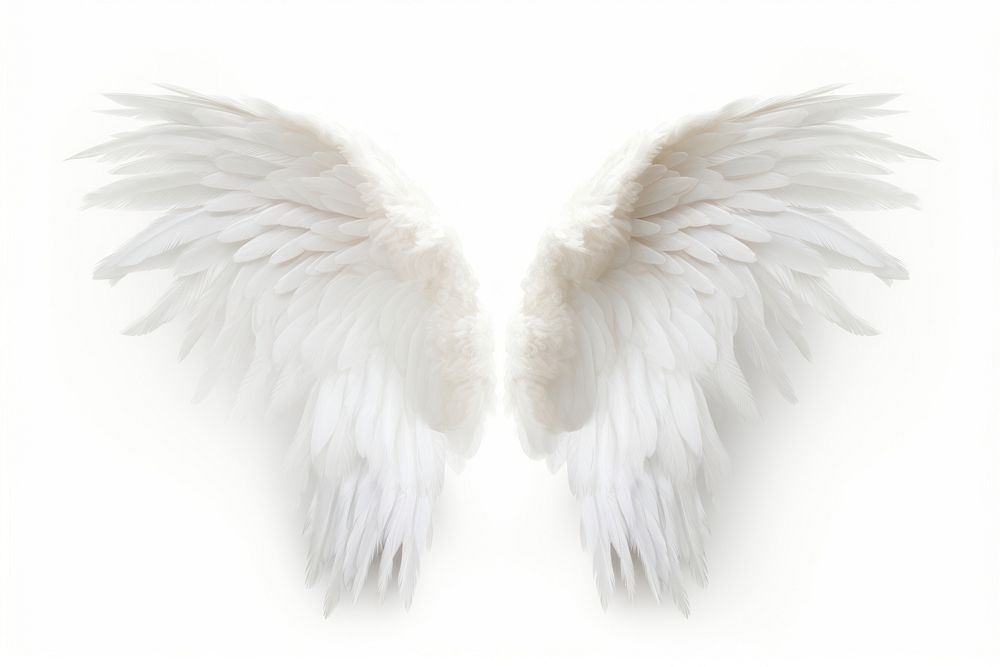 White feather angel wings white background archangel softness. AI generated Image by rawpixel.
