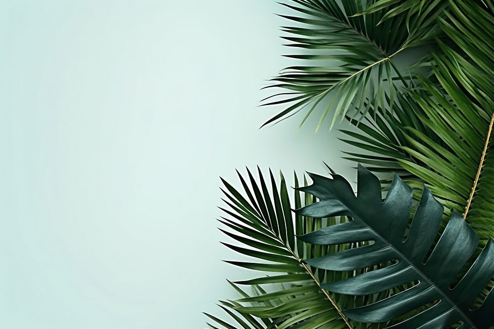 Tropical leaves backgrounds outdoors tropics. AI generated Image by rawpixel.