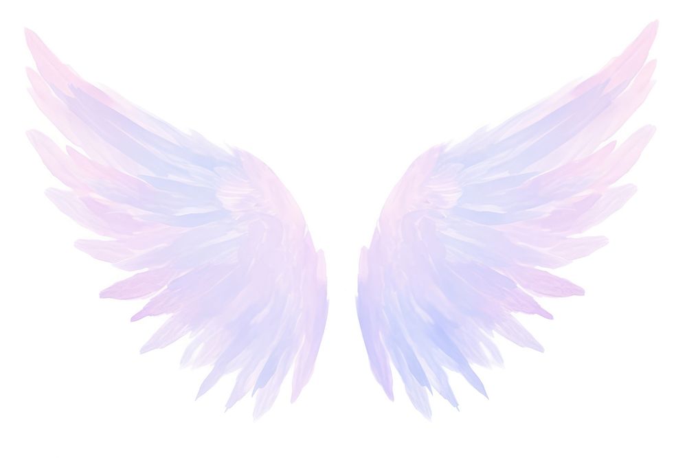Angel wings white background archangel clothing. AI generated Image by rawpixel.