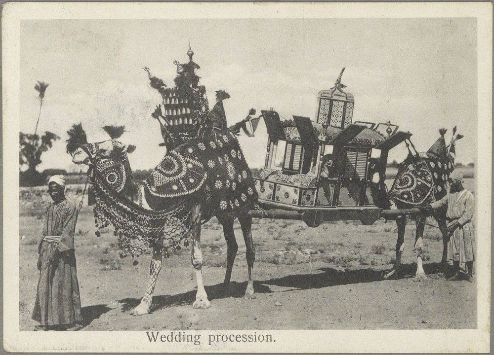 Bruiloftprocessie in Egypte met kamelen en draagstoel (c. 1895 - in or before 1905) by anonymous