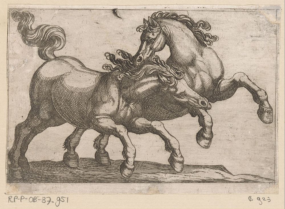 Twee vechtende paarden (1600) by Antonio Tempesta, Nicolaus van Aelst, Clemens VIII, Nereo Dracomannio and Antonio Tempesta