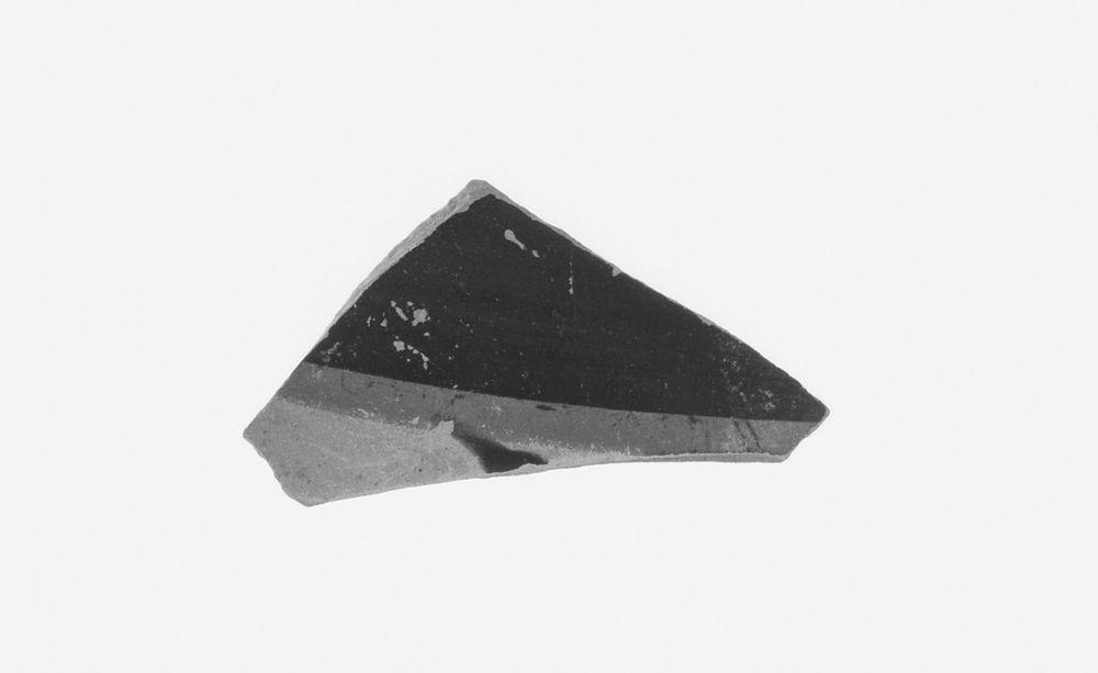 Attic Black-Figure Amphora Fragment