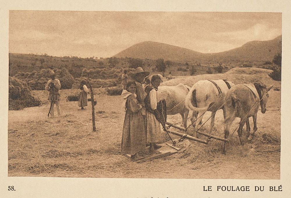 Le Foulage du blé by Frédéric Boissonnas