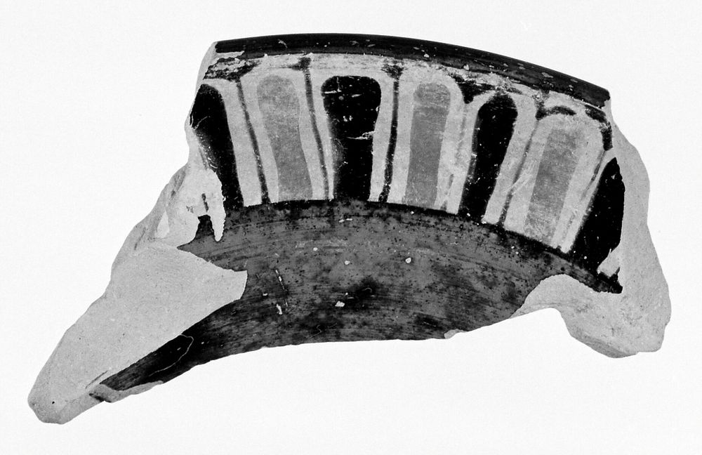 Attic Black-Figure Hydria Fragment