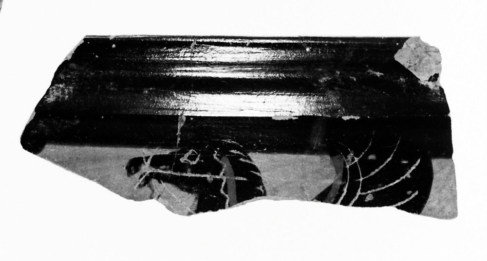 Attic Black-Figure Skyphos Fragment