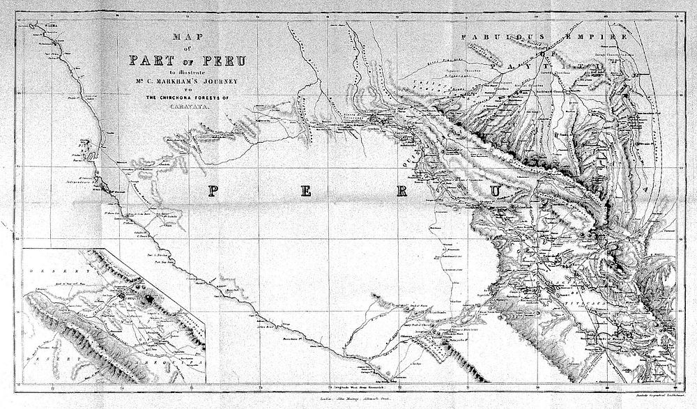 Travels in Peru and India : while superintending the collection of chinchona plants and seeds in South America, and their…