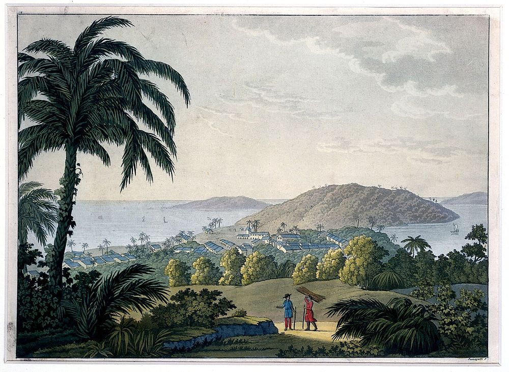 Ilhéus, Bahia, Brazil. Coloured aquatint by P. Fumagalli, ca. 1821, after J. Mawe.