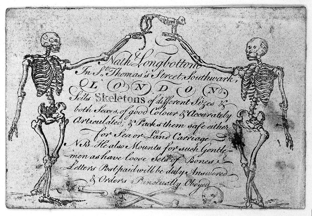 Trade-card of Nathaniel Longbottom, supplier of skeletons, St. Thomas's Street, Southwark