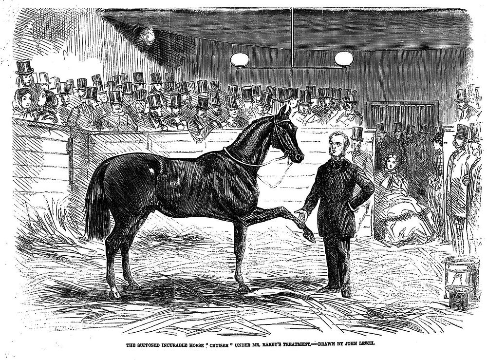 John Solomon Rarey with the stallion 'Cruiser', observed by onlookers. Wood engraving by J. Swain after J. Leech, 1858.