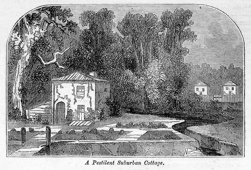 A pestilent suburban cottage. A house in the Old Kent Road where cholera, diphteria and fever had all occured. It was…