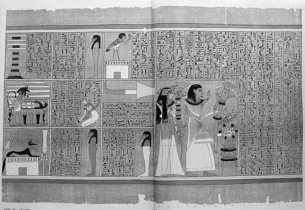 The book of the dead : facsimile of the papyrus of Ani in the British Museum. Printed by order of the trustees.