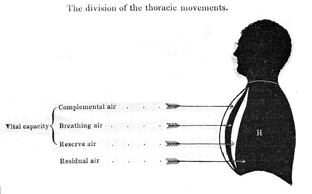 Different kinds of air and their positions in the lungs.
