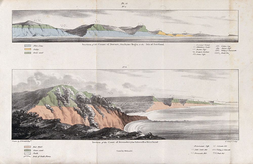 Geology: sections of the Dorset and Devonshire coastline, showing types of rock. Coloured lithograph by G. Scharf after H.…