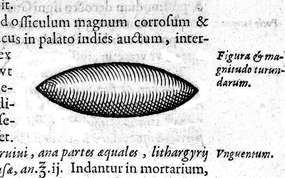 Guilhelmi Fabricii Hildani ... Observationum et curationum chirurgicarum centuriae, nunc primum in unum opus congestae, ac…