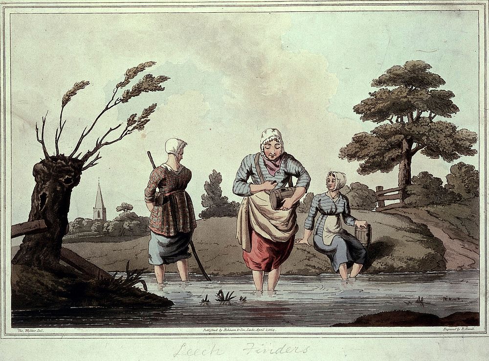 Three women wading in a stream gathering leeches. Coloured aquatint by R. Havell, 1814, after G. Walker.